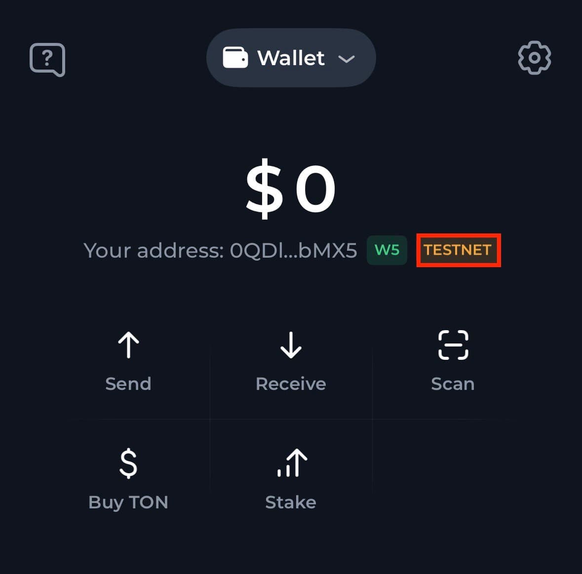 Main interface with testnet note